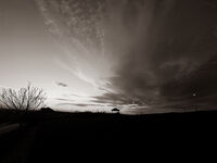 Black or; Коментари:1