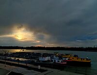 без име ( ID=2581288 ); Коментари:3