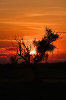 1q2R$ss45^; Коментари:3