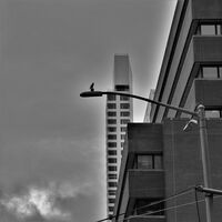 no name ( ID=2581294 ); comments:3