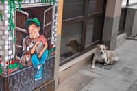 Мечтата; comments:6