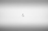 Мъгла над езерото; comments:6