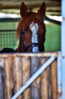 no name ( ID=2581327 ); comments:2