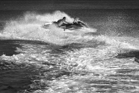 no name ( ID=2581332 ); comments:18