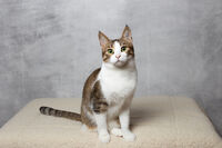 Снимки за документи; comments:14