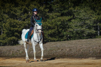 no name ( ID=2581349 ); comments:11