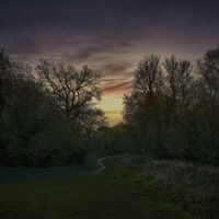 S; Коментари:4