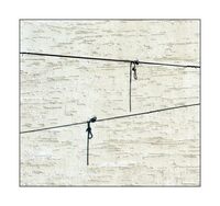 Само за хора с изключително развинтена фантазия; comments:23