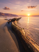 no name ( ID=2581381 ); comments:7