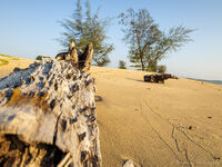 без име ( ID=2581396 ); Няма коментари