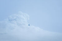 Сам в тишината; Коментари:9