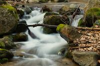 Разходка по Геренска река; Няма коментари