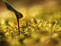 no name ( ID=2581439 ); comments:6