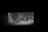 без име ( ID=2581444 ); Коментари:1