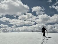 без име ( ID=2581458 ); Коментари:7