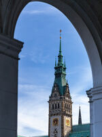 House of rats; comments:1