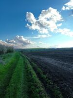 без име ( ID=2581476 ); Коментари:1