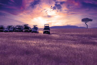 Дебнещи екскурзианти...; Коментари:3