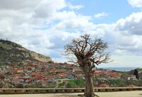 no name ( ID=2581482 ); comments:1