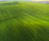 Безкрайни поля; Коментари:2