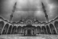 Исполин в мъглата; comments:9