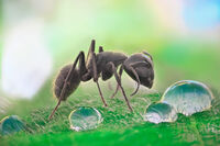 no name ( ID=2581538 ); comments:16