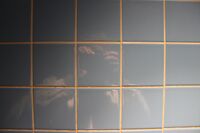 no name ( ID=2581561 ); comments:1