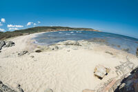 Обичам жегата.Любимото синьо; Коментари:4