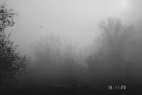 без име ( ID=2581585 ); Коментари:1