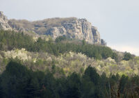 пролет в Мадара; Коментари:1