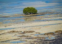 landscape; comments:2