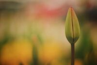 no name ( ID=2581765 ); comments:14