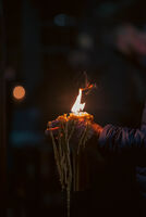 Пламъкът на надеждата; Коментари:1