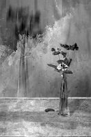 без име ( ID=2581796 ); Коментари:27