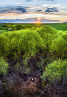 без име ( ID=2581799 ); Коментари:3