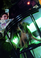 Охрана; comments:1