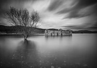 без име ( ID=2581814 ); Коментари:3