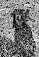 Абе голям студ тука бе ;-)...; Коментари:4