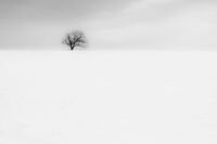 без име ( ID=2581822 ); Коментари:3