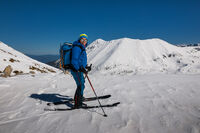 без име ( ID=2581827 ); Коментари:5