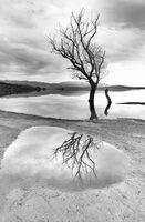 Less is more; Коментари:12