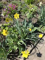 Пролетно; Коментари:2