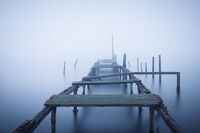 без име ( ID=2581847 ); Коментари:7