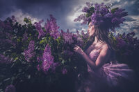 без име ( ID=2581882 ); Коментари:9