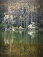 no name ( ID=2581883 ); comments:1