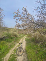 без име ( ID=2581884 ); Коментари:3