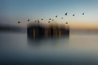 съвременна парадигма; comments:10