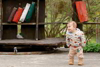 Щастието е в малките неща; Коментари:2