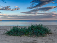 Варненски разходки; Коментари:3