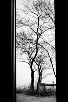 зимно писмо; comments:3